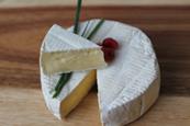 albanycolley-cheese-2829039