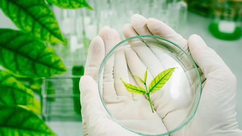 Biobased Green in Lab S70[12]